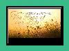 The Rest Of Our Life Ringtone para iPhone