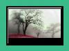 When I Fall In Love ton de apel pentru iPhone