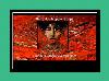 Sleepwalking Past Hope Tono para iPhone