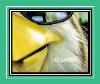 Shut Up Chicken (Radio Edit) Suoneria per iPhone.