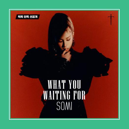 What You Waiting For רינגטון עבור iPhone.